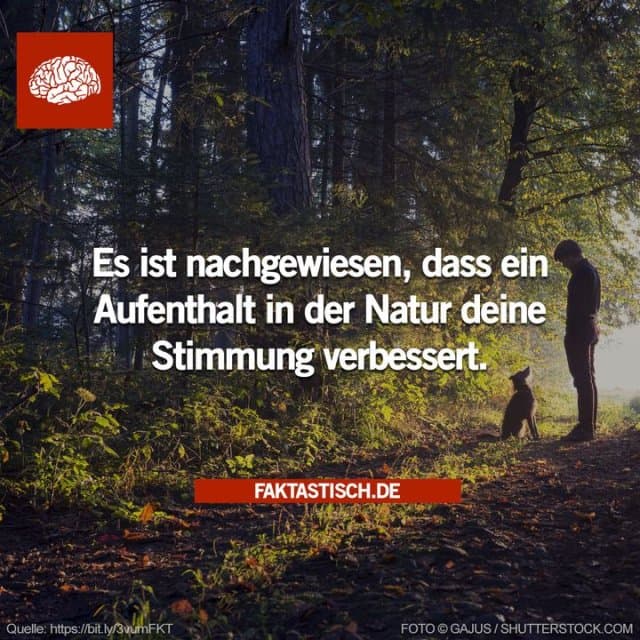 Eine Studie aus dem Jahr 2015, die in der Zeitschrift Landscape and Urban Planning veröffentlicht wurde, ergab, dass Menschen, die einen 50-minütigen Spaziergang in einer natürlichen Umgebung (im Gegensatz zu einer städtischen) unternahmen, sich glücklicher fühlten und weniger Angstzustände hatten 😊 - Inspiration, Zitate & Sprüche | MadeMyDay | Jetzt entdecken & teilen Eine Studie aus dem Jahr 2015, die in der Zeitschrift Landscape and Urban Planning veröffentlicht wurde, ergab, dass Menschen, die einen 50-minütigen Spaziergang in einer natürlichen Umgebung (im Gegensatz zu einer städtischen) unternahmen, sich glücklicher fühlten und weniger Angstzustände hatten 😊 - Inspirierendes Zitat mit Bild