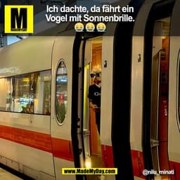 Ich dachte, da fährt ein
Vogel mit Sonnenbrille.
😭 😭 😭
@nilu_minati
(BILD)