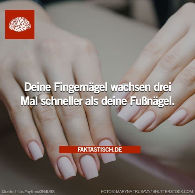 Die wahrscheinlichste Erklärung dafür, warum Fingernägel schneller wachsen als Zehennägel, ist, dass wir unsere Finger viel mehr benutzen als unsere Zehen, was zu mehr Mikrotraumata für die Zellen in der Nagelmatrix führt 💅 - Inspiration, Zitate & Sprüche | MadeMyDay | Jetzt entdecken & teilen Die wahrscheinlichste Erklärung dafür, warum Fingernägel schneller wachsen als Zehennägel, ist, dass wir unsere Finger viel mehr benutzen als unsere Zehen, was zu mehr Mikrotraumata für die Zellen in der Nagelmatrix führt 💅 - Inspirierendes Zitat mit Bild