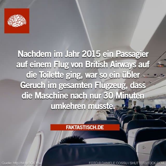 Auf einem Flug von London nach Dubai meldete sich nach kurzer Zeit in der Luft der Pilot zu Wort und teilte seinen Passagieren mit, dass ein „stechender Geruch“ aus der Toilette käme und die Maschine umkehren müsse 😂 - Inspiration, Zitate & Sprüche | MadeMyDay | Jetzt entdecken & teilen Auf einem Flug von London nach Dubai meldete sich nach kurzer Zeit in der Luft der Pilot zu Wort und teilte seinen Passagieren mit, dass ein „stechender Geruch“ aus der Toilette käme und die Maschine umkehren müsse 😂 - Inspirierendes Zitat mit Bild