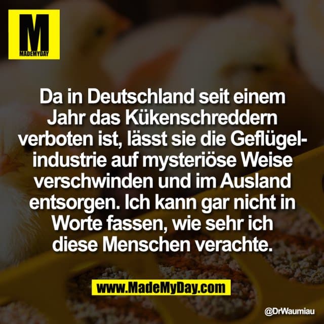 Da in Deutschland seit einem
Jahr das Kükenschreddern
verboten ist, lässt sie die Geflügel-
industrie auf mysteriöse Weise
verschwinden und im Ausland
entsorgen. Ich kann gar nicht in
Worte fassen, wie sehr ich
diese Menschen verachte. - Inspiration, Zitate & Sprüche | MadeMyDay | Jetzt entdecken & teilen Da in Deutschland seit einem
Jahr das Kükenschreddern
verboten ist, lässt sie die Geflügel-
industrie auf mysteriöse Weise
verschwinden und im Ausland
entsorgen. Ich kann gar nicht in
Worte fassen, wie sehr ich
diese Menschen verachte. - Inspirierendes Zitat mit Bild