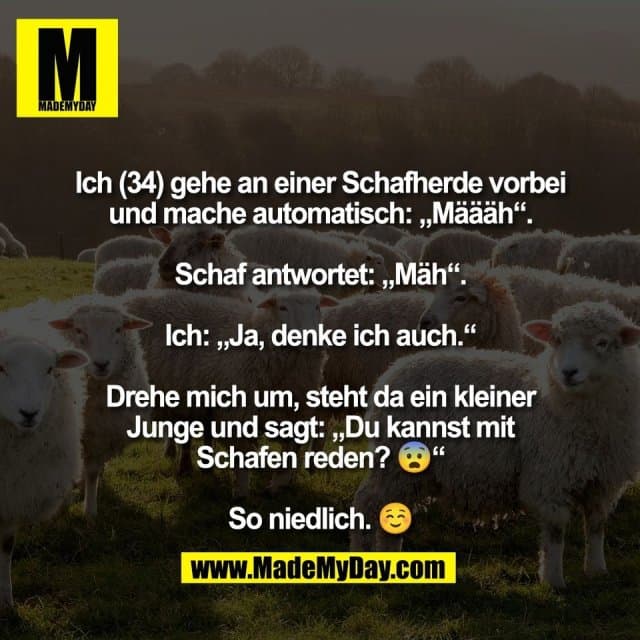 Ich (34) gehe an einer Schafherde vorbei
und mache automatisch: „Määäh“.
Schaf antwortet: „Mäh“.
Ich: „Ja, denke ich auch.“
Drehe mich um, steht da ein kleiner
Junge und sagt: „Du kannst mit
Schafen reden? 😨“
So niedlich. ☺️ - Inspiration, Zitate & Sprüche | MadeMyDay | Jetzt entdecken & teilen Ich (34) gehe an einer Schafherde vorbei
und mache automatisch: „Määäh“.
Schaf antwortet: „Mäh“.
Ich: „Ja, denke ich auch.“
Drehe mich um, steht da ein kleiner
Junge und sagt: „Du kannst mit
Schafen reden? 😨“
So niedlich. ☺️ - Inspirierendes Zitat mit Bild