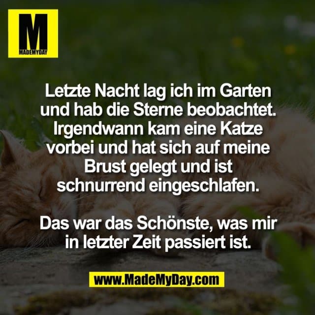 Letzte Nacht lag ich im Garten
und hab die Sterne beobachtet.
Irgendwann kam eine Katze
vorbei und hat sich auf meine
Brust gelegt und ist
schnurrend eingeschlafen.
Das war das Schönste, was mir
in letzter Zeit passiert ist. - Inspiration, Zitate & Sprüche | MadeMyDay | Jetzt entdecken & teilen Letzte Nacht lag ich im Garten
und hab die Sterne beobachtet.
Irgendwann kam eine Katze
vorbei und hat sich auf meine
Brust gelegt und ist
schnurrend eingeschlafen.
Das war das Schönste, was mir
in letzter Zeit passiert ist. - Inspirierendes Zitat mit Bild