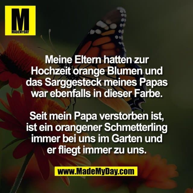 Meine Eltern hatten zur
Hochzeit orange Blumen und
das Sarggesteck meines Papas
war ebenfalls in dieser Farbe.
Seit mein Papa verstorben ist,
ist ein orangener Schmetterling
immer bei uns im Garten und
er fliegt immer zu uns. - Inspiration, Zitate & Sprüche | MadeMyDay | Jetzt entdecken & teilen Meine Eltern hatten zur
Hochzeit orange Blumen und
das Sarggesteck meines Papas
war ebenfalls in dieser Farbe.
Seit mein Papa verstorben ist,
ist ein orangener Schmetterling
immer bei uns im Garten und
er fliegt immer zu uns. - Inspirierendes Zitat mit Bild