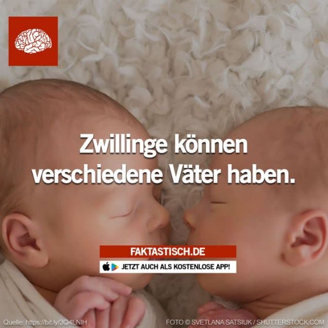 Wenn eine Frau innerhalb ihrer fruchtbaren Zeit mit mehreren Männern Geschlechtsverkehr hat, dann können die Eizellen von verschiedenen Männern befruchtet werden 🤔 📲 Mehr Fakten gibt es in unserer kostenlosen App (Download im App Store oder Play Store) - Inspiration, Zitate & Sprüche | MadeMyDay | Jetzt entdecken & teilen Wenn eine Frau innerhalb ihrer fruchtbaren Zeit mit mehreren Männern Geschlechtsverkehr hat, dann können die Eizellen von verschiedenen Männern befruchtet werden 🤔 📲 Mehr Fakten gibt es in unserer kostenlosen App (Download im App Store oder Play Store) - Inspirierendes Zitat mit Bild