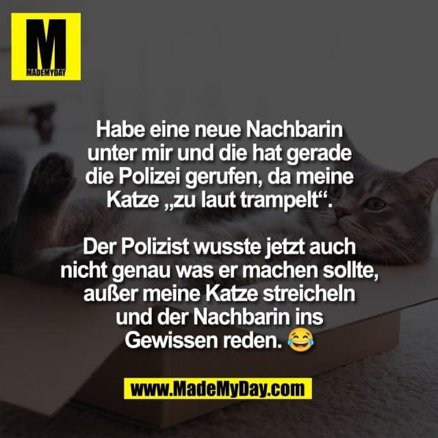 Habe eine neue Nachbarin
unter mir und die hat gerade
die Polizei gerufen, da meine
Katze „zu laut trampelt“.
Der Polizist wusste jetzt auch
nicht genau was er machen sollte,
außer meine Katze streicheln
und der Nachbarin ins
Gewissen reden. 😂 - Inspiration, Zitate & Sprüche | MadeMyDay | Jetzt entdecken & teilen Habe eine neue Nachbarin
unter mir und die hat gerade
die Polizei gerufen, da meine
Katze „zu laut trampelt“.
Der Polizist wusste jetzt auch
nicht genau was er machen sollte,
außer meine Katze streicheln
und der Nachbarin ins
Gewissen reden. 😂 - Inspirierendes Zitat mit Bild