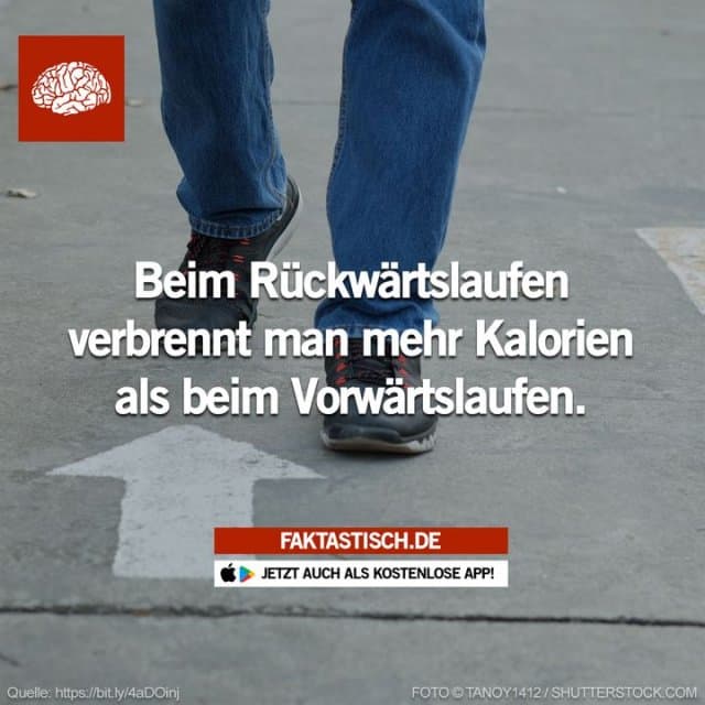 Die Rückwärtsbewegung bringt das Herz schneller in Schwung als die Vorwärtsbewegung, was bedeutet, dass du in kürzerer Zeit mehr Kalorien verbrennst und den Stoffwechsel ankurbelst 🤔 📲 Mehr Fakten gibt es in unserer kostenlosen App (Download im App Store oder Play Store) - Inspiration, Zitate & Sprüche | MadeMyDay | Jetzt entdecken & teilen Die Rückwärtsbewegung bringt das Herz schneller in Schwung als die Vorwärtsbewegung, was bedeutet, dass du in kürzerer Zeit mehr Kalorien verbrennst und den Stoffwechsel ankurbelst 🤔 📲 Mehr Fakten gibt es in unserer kostenlosen App (Download im App Store oder Play Store) - Inspirierendes Zitat mit Bild
