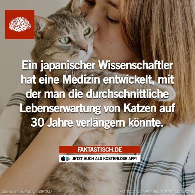 Die Injektion befindet sich derzeit in der klinischen Erprobungsphase und wird voraussichtlich bis zum Jahr 2025 verfügbar sein 🐈 📲 Mehr Fakten gibt es in unserer kostenlosen App (Download im App Store oder Play Store) - Inspiration, Zitate & Sprüche | MadeMyDay | Jetzt entdecken & teilen Die Injektion befindet sich derzeit in der klinischen Erprobungsphase und wird voraussichtlich bis zum Jahr 2025 verfügbar sein 🐈 📲 Mehr Fakten gibt es in unserer kostenlosen App (Download im App Store oder Play Store) - Inspirierendes Zitat mit Bild