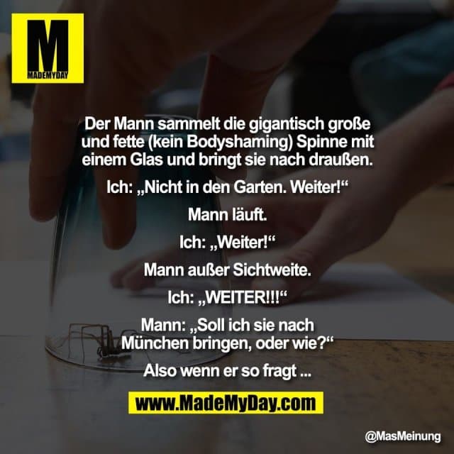 Der Mann sammelt die gigantisch große
und fette (kein Bodyshaming) Spinne mit
einem Glas und bringt sie nach draußen.
Ich: „Nicht in den Garten. Weiter!“
Mann läuft.
Ich: „Weiter!“
Mann außer Sichtweite.
Ich: „WEITER!!!“
Mann: „Soll ich sie nach
München bringen, oder wie?“
Also wenn er so fragt ... - Inspiration, Zitate & Sprüche | MadeMyDay | Jetzt entdecken & teilen Der Mann sammelt die gigantisch große
und fette (kein Bodyshaming) Spinne mit
einem Glas und bringt sie nach draußen.
Ich: „Nicht in den Garten. Weiter!“
Mann läuft.
Ich: „Weiter!“
Mann außer Sichtweite.
Ich: „WEITER!!!“
Mann: „Soll ich sie nach
München bringen, oder wie?“
Also wenn er so fragt ... - Inspirierendes Zitat mit Bild