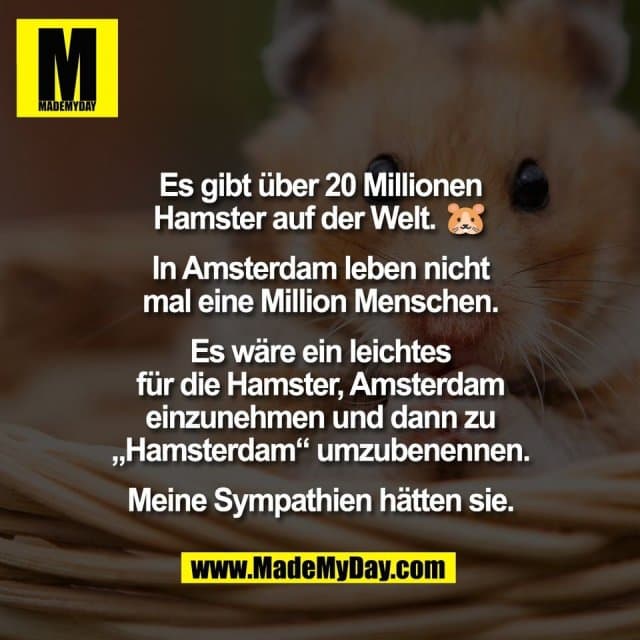 Es gibt über 20 Millionen
Hamster auf der Welt. 🐹
In Amsterdam leben nicht
mal eine Million Menschen.
Es wäre ein leichtes
für die Hamster, Amsterdam
einzunehmen und dann zu
„Hamsterdam“ umzubenennen.
Meine Sympathien hätten sie. - Inspiration, Zitate & Sprüche | MadeMyDay | Jetzt entdecken & teilen Es gibt über 20 Millionen
Hamster auf der Welt. 🐹
In Amsterdam leben nicht
mal eine Million Menschen.
Es wäre ein leichtes
für die Hamster, Amsterdam
einzunehmen und dann zu
„Hamsterdam“ umzubenennen.
Meine Sympathien hätten sie. - Inspirierendes Zitat mit Bild