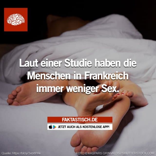 Die Menschen schauen lieber Filme im Fernsehen oder auf Netflix, scrollen in den sozialen Netzwerken, zocken Computerspiele oder lesen ein Buch 🤔 📲 Mehr Fakten gibt es in unserer kostenlosen App (Download im App Store oder Play Store) - Inspiration, Zitate & Sprüche | MadeMyDay | Jetzt entdecken & teilen Die Menschen schauen lieber Filme im Fernsehen oder auf Netflix, scrollen in den sozialen Netzwerken, zocken Computerspiele oder lesen ein Buch 🤔 📲 Mehr Fakten gibt es in unserer kostenlosen App (Download im App Store oder Play Store) - Inspirierendes Zitat mit Bild