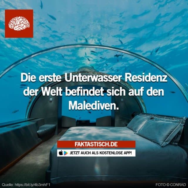 Angegliedert an das Conrad Maldives Rangali Island Resort befindet sich die Luxus-Wasservilla direkt am Hausriff der Fünf-Sterne-Insel im Indischen Ozean 😍 📲 Mehr Fakten gibt es in unserer kostenlosen App (Download im App Store oder Play Store) - Inspiration, Zitate & Sprüche | MadeMyDay | Jetzt entdecken & teilen Angegliedert an das Conrad Maldives Rangali Island Resort befindet sich die Luxus-Wasservilla direkt am Hausriff der Fünf-Sterne-Insel im Indischen Ozean 😍 📲 Mehr Fakten gibt es in unserer kostenlosen App (Download im App Store oder Play Store) - Inspirierendes Zitat mit Bild