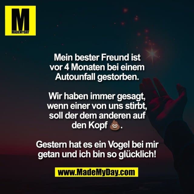 Mein bester Freund ist
vor 4 Monaten bei einem
Autounfall gestorben.
Wir haben immer gesagt,
wenn einer von uns stirbt,
soll der dem anderen auf
den Kopf 💩.
Gestern hat es ein Vogel bei mir
getan und ich bin so glücklich! - Inspiration, Zitate & Sprüche | MadeMyDay | Jetzt entdecken & teilen Mein bester Freund ist
vor 4 Monaten bei einem
Autounfall gestorben.
Wir haben immer gesagt,
wenn einer von uns stirbt,
soll der dem anderen auf
den Kopf 💩.
Gestern hat es ein Vogel bei mir
getan und ich bin so glücklich! - Inspirierendes Zitat mit Bild