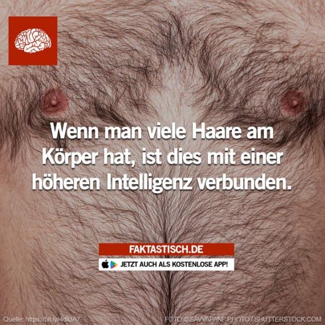Eine Untersuchung unter Medizinstudenten in Amerika ergab, dass 45 % der männlichen Ärzte in der Ausbildung „sehr behaart“ waren 😅 📲 Mehr Fakten gibt es in unserer kostenlosen App (Download im App Store oder Play Store) - Inspiration, Zitate & Sprüche | MadeMyDay | Jetzt entdecken & teilen Eine Untersuchung unter Medizinstudenten in Amerika ergab, dass 45 % der männlichen Ärzte in der Ausbildung „sehr behaart“ waren 😅 📲 Mehr Fakten gibt es in unserer kostenlosen App (Download im App Store oder Play Store) - Inspirierendes Zitat mit Bild