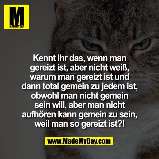 Kennt ihr das, wenn man
gereizt ist, aber nicht weiß,
warum man gereizt ist und
dann total gemein zu jedem ist,
obwohl man nicht gemein
sein will, aber man nicht
aufhören kann gemein zu sein,
weil man so gereizt ist?! - Inspiration, Zitate & Sprüche | MadeMyDay | Jetzt entdecken & teilen Kennt ihr das, wenn man
gereizt ist, aber nicht weiß,
warum man gereizt ist und
dann total gemein zu jedem ist,
obwohl man nicht gemein
sein will, aber man nicht
aufhören kann gemein zu sein,
weil man so gereizt ist?! - Inspirierendes Zitat mit Bild
