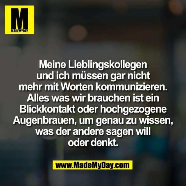 Meine Lieblingskollegen
und ich müssen gar nicht
mehr mit Worten kommunizieren.
Alles was wir brauchen ist ein
Blickkontakt oder hochgezogene
Augenbrauen, um genau zu wissen,
was der andere sagen will
oder denkt. - Inspiration, Zitate & Sprüche | MadeMyDay | Jetzt entdecken & teilen Meine Lieblingskollegen
und ich müssen gar nicht
mehr mit Worten kommunizieren.
Alles was wir brauchen ist ein
Blickkontakt oder hochgezogene
Augenbrauen, um genau zu wissen,
was der andere sagen will
oder denkt. - Inspirierendes Zitat mit Bild