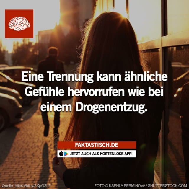 „Die Regionen im Gehirn, die für Verliebtheit und Anziehung sorgen, sind auch die, die auf illegale Drogen ansprechen“, so Dr. Brian Boutwell 🤔 📲 Mehr Fakten gibt es in unserer kostenlosen App (Download im App Store oder Play Store) - Inspiration, Zitate & Sprüche | MadeMyDay | Jetzt entdecken & teilen „Die Regionen im Gehirn, die für Verliebtheit und Anziehung sorgen, sind auch die, die auf illegale Drogen ansprechen“, so Dr. Brian Boutwell 🤔 📲 Mehr Fakten gibt es in unserer kostenlosen App (Download im App Store oder Play Store) - Inspirierendes Zitat mit Bild