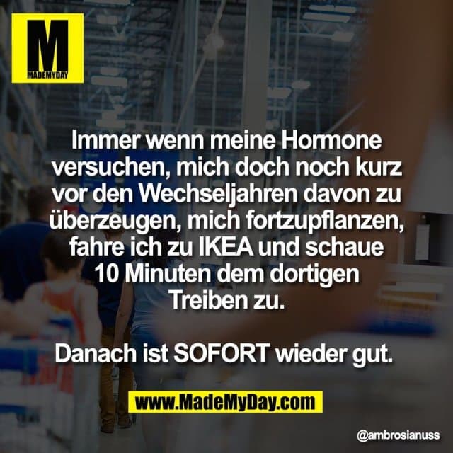 Immer wenn meine Hormone
versuchen, mich doch noch kurz
vor den Wechseljahren davon zu
überzeugen, mich fortzupflanzen,
fahre ich zu IKEA und schaue
10 Minuten dem dortigen
Treiben zu.
Danach ist SOFORT wieder gut. - Inspiration, Zitate & Sprüche | MadeMyDay | Jetzt entdecken & teilen Immer wenn meine Hormone
versuchen, mich doch noch kurz
vor den Wechseljahren davon zu
überzeugen, mich fortzupflanzen,
fahre ich zu IKEA und schaue
10 Minuten dem dortigen
Treiben zu.
Danach ist SOFORT wieder gut. - Inspirierendes Zitat mit Bild