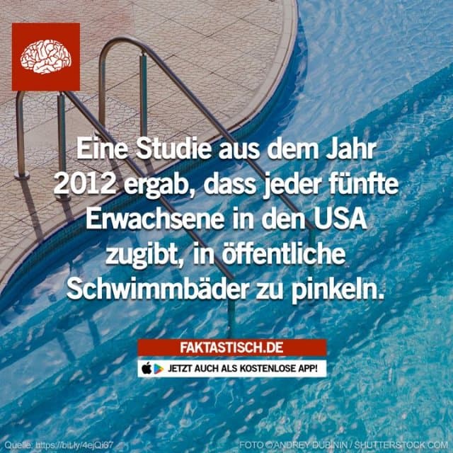 Einer von fünf Erwachsenen pinkelt in öffentliche Schwimmbäder 😳 📲 Mehr Fakten gibt es in unserer kostenlosen App (Download im App Store oder Play Store) Folge @faktastisch für noch mehr Fakten! #umfrage #studie #schwimmbad #freibad #sommer #schwimmen #sonnenschein - Inspiration, Zitate & Sprüche | MadeMyDay | Jetzt entdecken & teilen Einer von fünf Erwachsenen pinkelt in öffentliche Schwimmbäder 😳 📲 Mehr Fakten gibt es in unserer kostenlosen App (Download im App Store oder Play Store) Folge @faktastisch für noch mehr Fakten! #umfrage #studie #schwimmbad #freibad #sommer #schwimmen #sonnenschein - Inspirierendes Zitat mit Bild