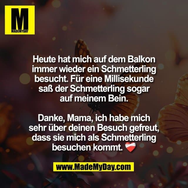 Heute hat mich auf dem Balkon
immer wieder ein Schmetterling
besucht. Für eine Millisekunde
saß der Schmetterling sogar
auf meinem Bein.
Danke, Mama, ich habe mich
sehr über deinen Besuch gefreut,
dass sie mich als Schmetterling
besuchen kommt. ❤️🩹 - Inspiration, Zitate & Sprüche | MadeMyDay | Jetzt entdecken & teilen Heute hat mich auf dem Balkon
immer wieder ein Schmetterling
besucht. Für eine Millisekunde
saß der Schmetterling sogar
auf meinem Bein.
Danke, Mama, ich habe mich
sehr über deinen Besuch gefreut,
dass sie mich als Schmetterling
besuchen kommt. ❤️🩹 - Inspirierendes Zitat mit Bild