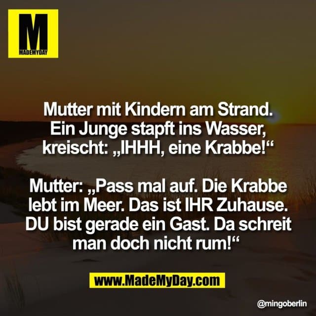 Mutter mit Kindern am Strand.
Ein Junge stapft ins Wasser,
kreischt: „IHHH, eine Krabbe!“
Mutter: „Pass mal auf. Die Krabbe
lebt im Meer. Das ist IHR Zuhause.
DU bist gerade ein Gast. Da schreit
man doch nicht rum!“ - Inspiration, Zitate & Sprüche | MadeMyDay | Jetzt entdecken & teilen Mutter mit Kindern am Strand.
Ein Junge stapft ins Wasser,
kreischt: „IHHH, eine Krabbe!“
Mutter: „Pass mal auf. Die Krabbe
lebt im Meer. Das ist IHR Zuhause.
DU bist gerade ein Gast. Da schreit
man doch nicht rum!“ - Inspirierendes Zitat mit Bild
