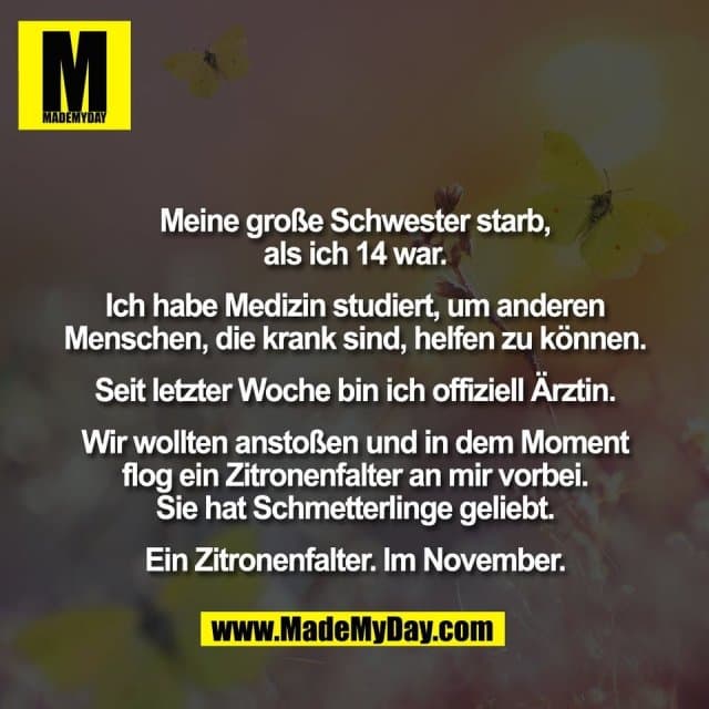 Meine große Schwester starb,
als ich 14 war.
Ich habe Medizin studiert, um anderen
Menschen, die krank sind, helfen zu können.
Seit letzter Woche bin ich offiziell Ärztin.
Wir wollten anstoßen und in dem Moment
flog ein Zitronenfalter an mir vorbei.
Sie hat Schmetterlinge geliebt.
Ein Zitronenfalter. Im November. - Inspiration, Zitate & Sprüche | MadeMyDay | Jetzt entdecken & teilen Meine große Schwester starb,
als ich 14 war.
Ich habe Medizin studiert, um anderen
Menschen, die krank sind, helfen zu können.
Seit letzter Woche bin ich offiziell Ärztin.
Wir wollten anstoßen und in dem Moment
flog ein Zitronenfalter an mir vorbei.
Sie hat Schmetterlinge geliebt.
Ein Zitronenfalter. Im November. - Inspirierendes Zitat mit Bild