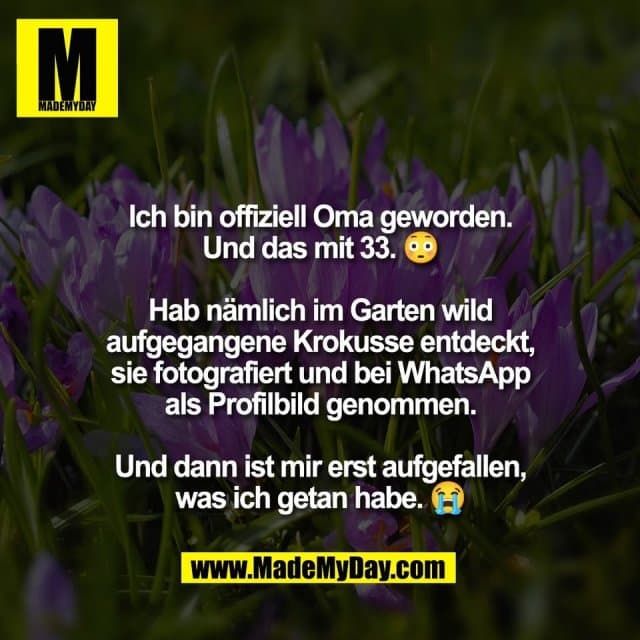 Ich bin offiziell Oma geworden.
Und das mit 33. 😳
Hab nämlich im Garten wild
aufgegangene Krokusse entdeckt,
sie fotografiert und bei WhatsApp
als Profilbild genommen.
Und dann ist mir erst aufgefallen,
was ich getan habe. 😠- Inspiration, Zitate & Sprüche | MadeMyDay | Jetzt entdecken & teilen Ich bin offiziell Oma geworden.
Und das mit 33. 😳
Hab nämlich im Garten wild
aufgegangene Krokusse entdeckt,
sie fotografiert und bei WhatsApp
als Profilbild genommen.
Und dann ist mir erst aufgefallen,
was ich getan habe. 😠- Inspirierendes Zitat mit Bild