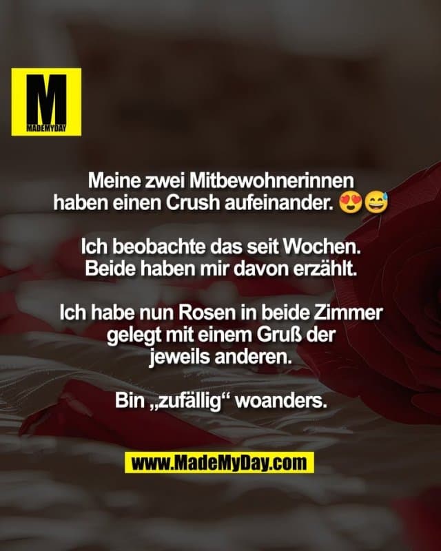 Meine zwei Mitbewohnerinnen
haben einen Crush aufeinander. 😍😅
Ich beobachte das seit Wochen.
Beide haben mir davon erzählt.
Ich habe nun Rosen in beide Zimmer
gelegt mit einem Gruß der
jeweils anderen.
Bin „zufällig“ woanders. - Inspiration, Zitate & Sprüche | MadeMyDay | Jetzt entdecken & teilen Meine zwei Mitbewohnerinnen
haben einen Crush aufeinander. 😍😅
Ich beobachte das seit Wochen.
Beide haben mir davon erzählt.
Ich habe nun Rosen in beide Zimmer
gelegt mit einem Gruß der
jeweils anderen.
Bin „zufällig“ woanders. - Inspirierendes Zitat mit Bild