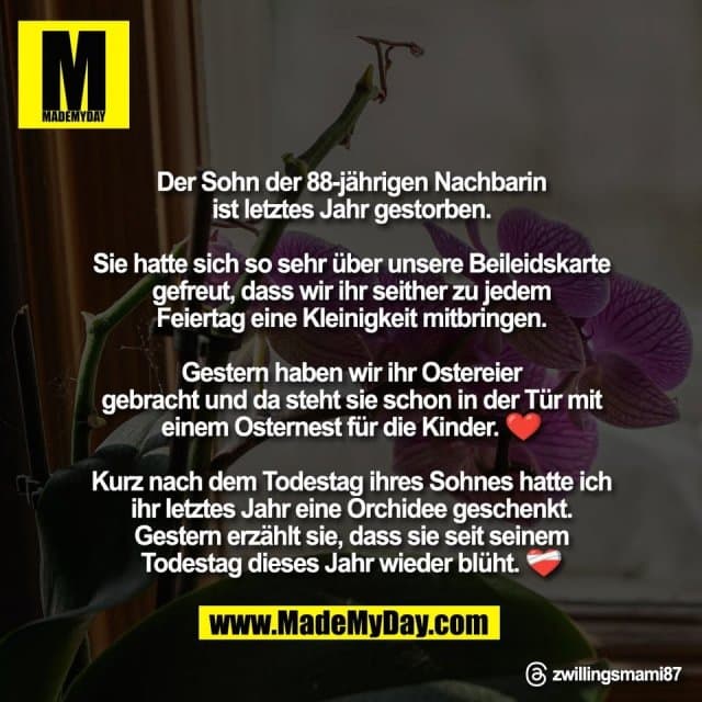 Der Sohn der 88-jährigen Nachbarin
ist letztes Jahr gestorben.
Sie hatte sich so sehr über unsere Beileidskarte
gefreut, dass wir ihr seither zu jedem
Feiertag eine Kleinigkeit mitbringen.
Gestern haben wir ihr Ostereier
gebracht und da steht sie schon in der Tür mit
einem Osternest für die Kinder. ❤️
Kurz nach dem Todestag ihres Sohnes hatte ich
ihr letztes Jahr eine Orchidee geschenkt.
Gestern erzählt sie, dass sie seit seinem
Todestag dieses Jahr wieder blüht. ❤️🩹
Threads: zwillingsmami87 - Inspiration, Zitate & Sprüche | MadeMyDay | Jetzt entdecken & teilen Der Sohn der 88-jährigen Nachbarin
ist letztes Jahr gestorben.
Sie hatte sich so sehr über unsere Beileidskarte
gefreut, dass wir ihr seither zu jedem
Feiertag eine Kleinigkeit mitbringen.
Gestern haben wir ihr Ostereier
gebracht und da steht sie schon in der Tür mit
einem Osternest für die Kinder. ❤️
Kurz nach dem Todestag ihres Sohnes hatte ich
ihr letztes Jahr eine Orchidee geschenkt.
Gestern erzählt sie, dass sie seit seinem
Todestag dieses Jahr wieder blüht. ❤️🩹
Threads: zwillingsmami87 - Inspirierendes Zitat mit Bild