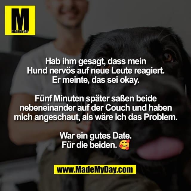 Hab ihm gesagt, dass mein
Hund nervös auf neue Leute reagiert.
Er meinte, das sei okay.
Fünf Minuten später saßen beide
nebeneinander auf der Couch und haben
mich angeschaut, als wäre ich das Problem.
War ein gutes Date.
Für die beiden. 🥰 - Inspiration, Zitate & Sprüche | MadeMyDay | Jetzt entdecken & teilen Hab ihm gesagt, dass mein
Hund nervös auf neue Leute reagiert.
Er meinte, das sei okay.
Fünf Minuten später saßen beide
nebeneinander auf der Couch und haben
mich angeschaut, als wäre ich das Problem.
War ein gutes Date.
Für die beiden. 🥰 - Inspirierendes Zitat mit Bild