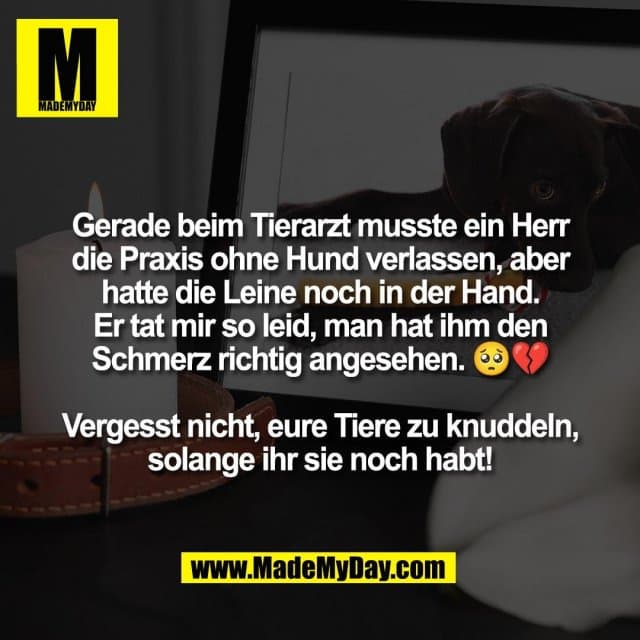 Gerade beim Tierarzt musste ein Herr
die Praxis ohne Hund verlassen, aber
hatte die Leine noch in der Hand.
Er tat mir so leid, man hat ihm den
Schmerz richtig angesehen. 🥺💔
Vergesst nicht, eure Tiere zu knuddeln,
solange ihr sie noch habt! - Inspiration, Zitate & Sprüche | MadeMyDay | Jetzt entdecken & teilen Gerade beim Tierarzt musste ein Herr
die Praxis ohne Hund verlassen, aber
hatte die Leine noch in der Hand.
Er tat mir so leid, man hat ihm den
Schmerz richtig angesehen. 🥺💔
Vergesst nicht, eure Tiere zu knuddeln,
solange ihr sie noch habt! - Inspirierendes Zitat mit Bild