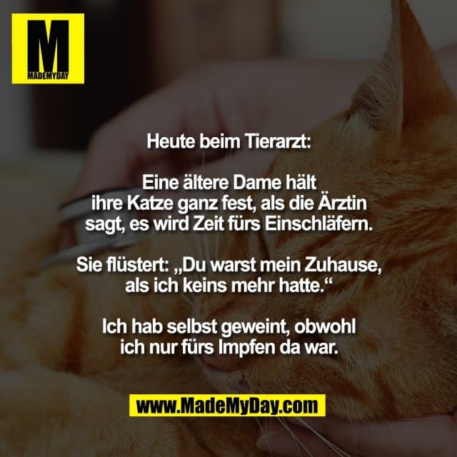 Heute beim Tierarzt:
Eine ältere Dame hält
ihre Katze ganz fest, als die Ärztin
sagt, es wird Zeit fürs Einschläfern.
Sie flüstert: „Du warst mein Zuhause,
als ich keins mehr hatte.“
Ich hab selbst geweint, obwohl
ich nur fürs Impfen da war. - Inspiration, Zitate & Sprüche | MadeMyDay | Jetzt entdecken & teilen Heute beim Tierarzt:
Eine ältere Dame hält
ihre Katze ganz fest, als die Ärztin
sagt, es wird Zeit fürs Einschläfern.
Sie flüstert: „Du warst mein Zuhause,
als ich keins mehr hatte.“
Ich hab selbst geweint, obwohl
ich nur fürs Impfen da war. - Inspirierendes Zitat mit Bild