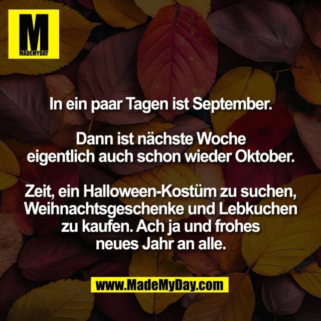 In ein paar Tagen ist September.
Dann ist nächste Woche
eigentlich auch schon wieder Oktober.
Zeit, ein Halloween-Kostüm zu suchen,
Weihnachtsgeschenke und Lebkuchen
zu kaufen. Ach ja und frohes
neues Jahr an alle. - Inspiration, Zitate & Sprüche | MadeMyDay | Jetzt entdecken & teilen In ein paar Tagen ist September.
Dann ist nächste Woche
eigentlich auch schon wieder Oktober.
Zeit, ein Halloween-Kostüm zu suchen,
Weihnachtsgeschenke und Lebkuchen
zu kaufen. Ach ja und frohes
neues Jahr an alle. - Inspirierendes Zitat mit Bild