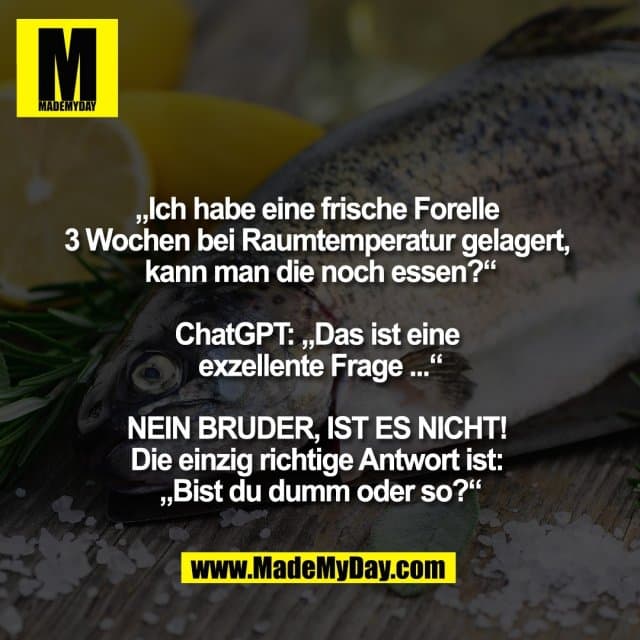 „Ich habe eine frische Forelle
3 Wochen bei Raumtemperatur gelagert,
kann man die noch essen?“
ChatGPT: „Das ist eine
exzellente Frage ...“
NEIN BRUDER, IST ES NICHT!
Die einzig richtige Antwort ist:
„Bist du dumm oder so?“ - Inspiration, Zitate & Sprüche | MadeMyDay | Jetzt entdecken & teilen „Ich habe eine frische Forelle
3 Wochen bei Raumtemperatur gelagert,
kann man die noch essen?“
ChatGPT: „Das ist eine
exzellente Frage ...“
NEIN BRUDER, IST ES NICHT!
Die einzig richtige Antwort ist:
„Bist du dumm oder so?“ - Inspirierendes Zitat mit Bild