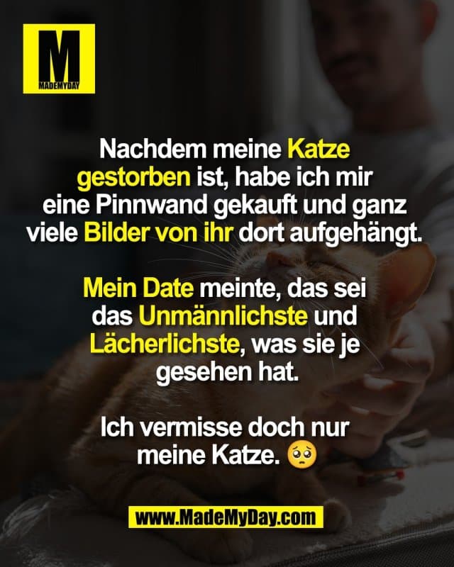 Nachdem meine Katze
gestorben ist, habe ich mir
eine Pinnwand gekauft und ganz
viele Bilder von ihr dort aufgehängt.
Mein Date meinte, das sei
das Unmännlichste und
Lächerlichste, was sie je
gesehen hat.
Ich vermisse doch nur
meine Katze. 🥺 - Inspiration, Zitate & Sprüche | MadeMyDay | Jetzt entdecken & teilen Nachdem meine Katze
gestorben ist, habe ich mir
eine Pinnwand gekauft und ganz
viele Bilder von ihr dort aufgehängt.
Mein Date meinte, das sei
das Unmännlichste und
Lächerlichste, was sie je
gesehen hat.
Ich vermisse doch nur
meine Katze. 🥺 - Inspirierendes Zitat mit Bild