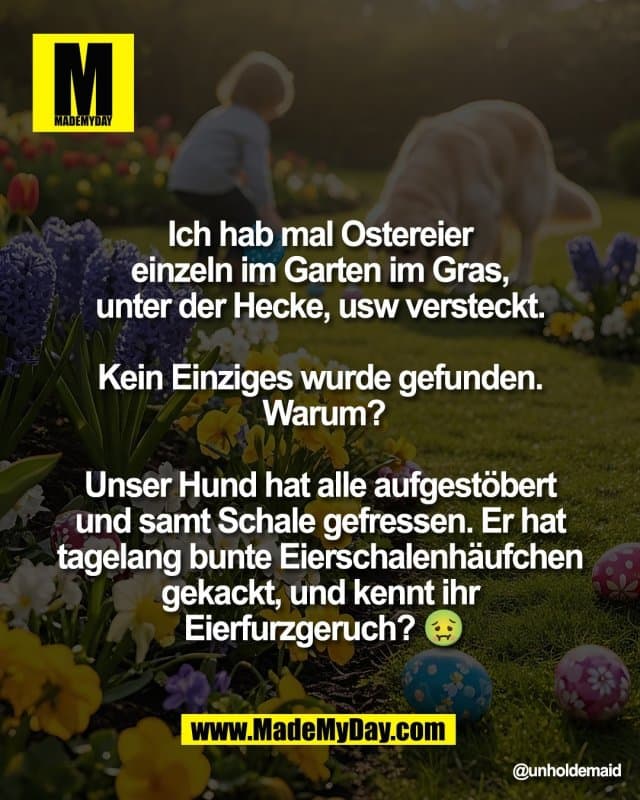 Ich hab mal Ostereier
einzeln im Garten im Gras,
unter der Hecke, usw versteckt.
Kein Einziges wurde gefunden.
Warum?
Unser Hund hat alle aufgestöbert
und samt Schale gefressen. Er hat
tagelang bunte Eierschalenhäufchen
gekackt, und kennt ihr
Eierfurzgeruch? 🤢 - Inspiration, Zitate & Sprüche | MadeMyDay | Jetzt entdecken & teilen Ich hab mal Ostereier
einzeln im Garten im Gras,
unter der Hecke, usw versteckt.
Kein Einziges wurde gefunden.
Warum?
Unser Hund hat alle aufgestöbert
und samt Schale gefressen. Er hat
tagelang bunte Eierschalenhäufchen
gekackt, und kennt ihr
Eierfurzgeruch? 🤢 - Inspirierendes Zitat mit Bild