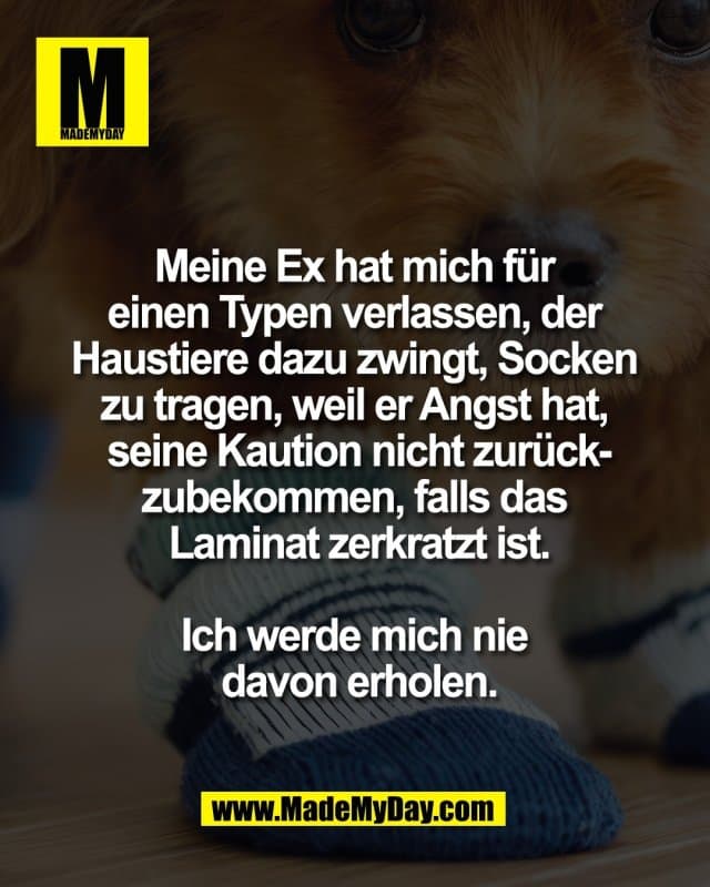 Meine Ex hat mich für
einen Typen verlassen, der
Haustiere dazu zwingt, Socken
zu tragen, weil er Angst hat,
seine Kaution nicht zurück-
zubekommen, falls das
Laminat zerkratzt ist.
Ich werde mich nie
davon erholen. - Inspiration, Zitate & Sprüche | MadeMyDay | Jetzt entdecken & teilen Meine Ex hat mich für
einen Typen verlassen, der
Haustiere dazu zwingt, Socken
zu tragen, weil er Angst hat,
seine Kaution nicht zurück-
zubekommen, falls das
Laminat zerkratzt ist.
Ich werde mich nie
davon erholen. - Inspirierendes Zitat mit Bild