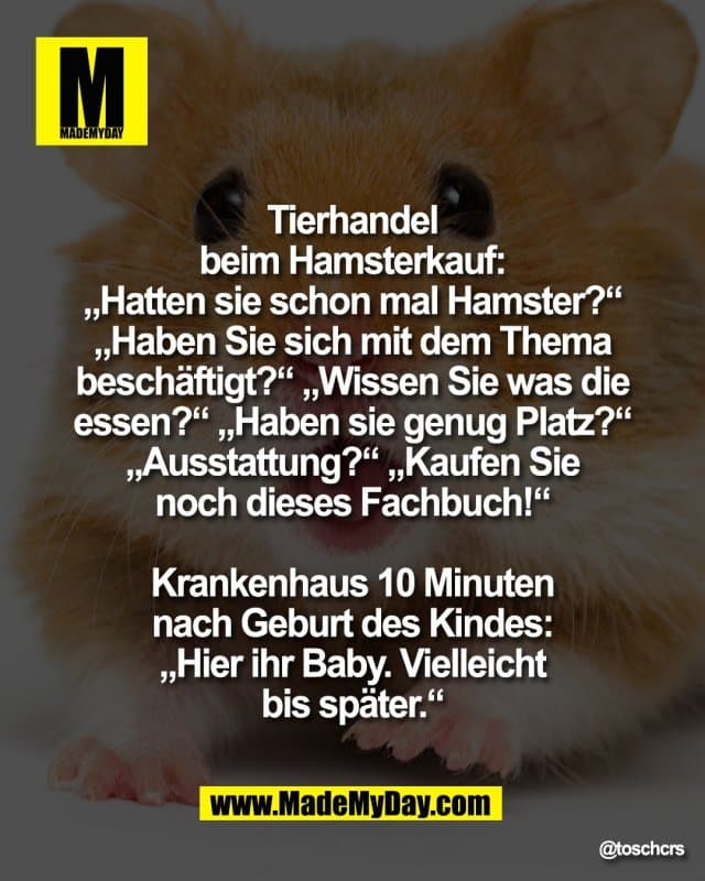 Tierhandel
beim Hamsterkauf:
„Hatten sie schon mal Hamster?“
„Haben Sie sich mit dem Thema
beschäftigt?“ „Wissen Sie was die
essen?“ „Haben sie genug Platz?“
„Ausstattung?“ „Kaufen Sie
noch dieses Fachbuch!“
Krankenhaus 10 Minuten
nach Geburt des Kindes:
„Hier ihr Baby. Vielleicht
bis später.“ - Inspiration, Zitate & Sprüche | MadeMyDay | Jetzt entdecken & teilen Tierhandel
beim Hamsterkauf:
„Hatten sie schon mal Hamster?“
„Haben Sie sich mit dem Thema
beschäftigt?“ „Wissen Sie was die
essen?“ „Haben sie genug Platz?“
„Ausstattung?“ „Kaufen Sie
noch dieses Fachbuch!“
Krankenhaus 10 Minuten
nach Geburt des Kindes:
„Hier ihr Baby. Vielleicht
bis später.“ - Inspirierendes Zitat mit Bild