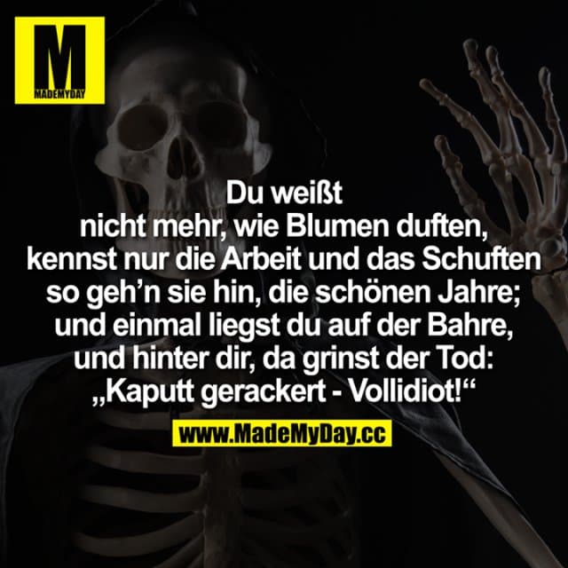 Du weißt
nicht mehr, wie Blumen duften,
kennst nur die Arbeit und das Schuften
so geh'n sie hin, die schönen Jahre;
und einmal liegst du auf der Bahre,
und hinter dir, da grinst der Tod:
"Kaputt gerackert - Vollidiot!" - Inspiration, Zitate & Sprüche | MadeMyDay | Jetzt entdecken & teilen Du weißt
nicht mehr, wie Blumen duften,
kennst nur die Arbeit und das Schuften
so geh'n sie hin, die schönen Jahre;
und einmal liegst du auf der Bahre,
und hinter dir, da grinst der Tod:
"Kaputt gerackert - Vollidiot!" - Inspirierendes Zitat mit Bild