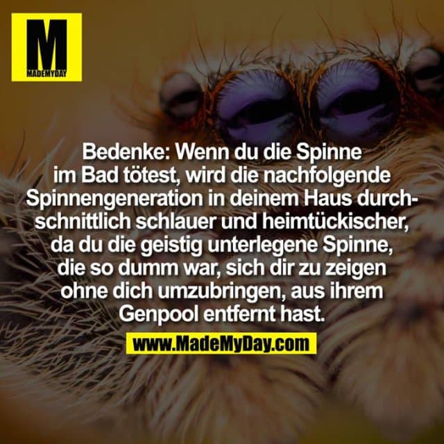 Bedenke:
Wenn du die Spinne in deinem Bad tötest, wird die nachfolgende Spinnengeneration in deinem Haus durchschnittlich schlauer und heimtückischer, da du die geistig unterlegene Spinne, die so dumm war sich dir zu zeigen, ohne dich umzubringen, aus ihrem Genpool entfernt hast. - Inspiration, Zitate & Sprüche | MadeMyDay | Jetzt entdecken & teilen Bedenke:
Wenn du die Spinne in deinem Bad tötest, wird die nachfolgende Spinnengeneration in deinem Haus durchschnittlich schlauer und heimtückischer, da du die geistig unterlegene Spinne, die so dumm war sich dir zu zeigen, ohne dich umzubringen, aus ihrem Genpool entfernt hast. - Inspirierendes Zitat mit Bild