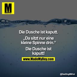 Die Dusche ist kaputt.
"Da sitzt nur eine kleine Spinne drin."
Die Dusche ist kaputt!