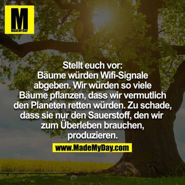 Stellt euch vor: Bäume würden Wifi Signale abgeben, wir würden so viele Bäume pflanzen, dass wir vermutlich den Planeten retten würden. Zu schade, dass sie nur den Sauerstoff, den wir zum Überleben brauchen, produzieren. - Inspiration, Zitate & Sprüche | MadeMyDay | Jetzt entdecken & teilen Stellt euch vor: Bäume würden Wifi Signale abgeben, wir würden so viele Bäume pflanzen, dass wir vermutlich den Planeten retten würden. Zu schade, dass sie nur den Sauerstoff, den wir zum Überleben brauchen, produzieren. - Inspirierendes Zitat mit Bild
