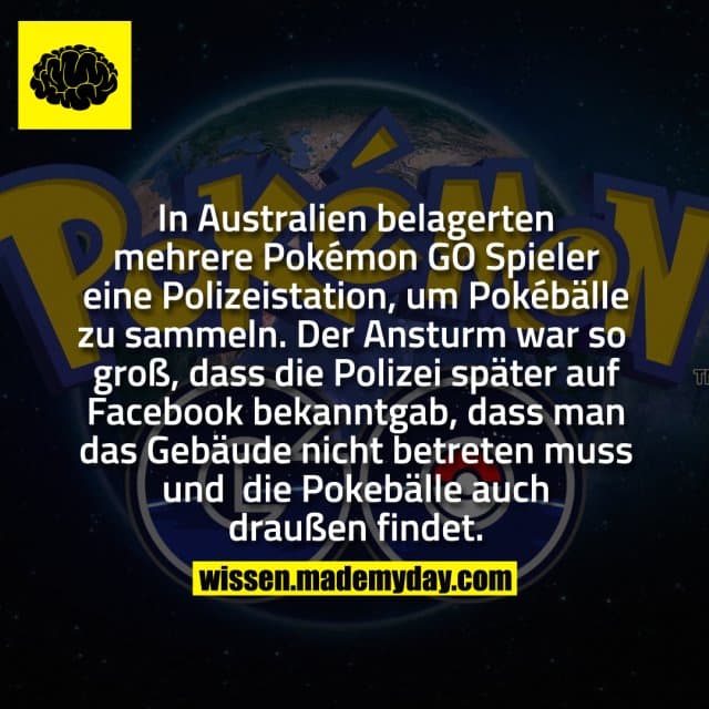 In Australien belagerten mehrere Pokémon GO Spieler eine Polizeistation, um Pokébälle zu sammeln. Der Ansturm war so groß, dass die Polizei später auf Facebook bekanntgab, dass man das Gebäude nicht betreten muss und die Pokebälle auch draußen findet. - Inspiration, Zitate & Sprüche | MadeMyDay | Jetzt entdecken & teilen In Australien belagerten mehrere Pokémon GO Spieler eine Polizeistation, um Pokébälle zu sammeln. Der Ansturm war so groß, dass die Polizei später auf Facebook bekanntgab, dass man das Gebäude nicht betreten muss und die Pokebälle auch draußen findet. - Inspirierendes Zitat mit Bild