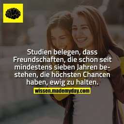 Studien belegen, dass Freundschaften, die schon seit mindestens sieben Jahren bestehen, die höchsten Chancen haben, ewig