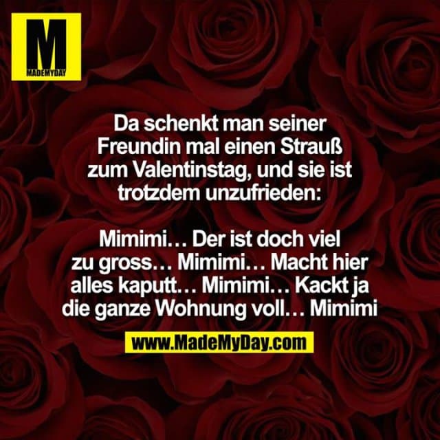Da schenkt man seiner Freundin mal einen Strauß zum Valentinstag, und sie ist trotzdem unzufrieden:
Mimimi… Der ist doch viel zu gross… Mimimi… Macht hier alles kaputt… Mimimi… Kackt ja die ganze Wohnung voll… Mimimi - Inspiration, Zitate & Sprüche | MadeMyDay | Jetzt entdecken & teilen Da schenkt man seiner Freundin mal einen Strauß zum Valentinstag, und sie ist trotzdem unzufrieden:
Mimimi… Der ist doch viel zu gross… Mimimi… Macht hier alles kaputt… Mimimi… Kackt ja die ganze Wohnung voll… Mimimi - Inspirierendes Zitat mit Bild