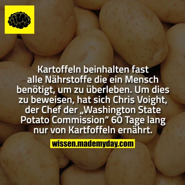 Kartoffeln beinhalten fast alle Nährstoffe die ein Mensch benötigt, um zu überleben. Um dies zu beweisen, hat sich Chris Voight, der Chef der „Washington State Potato Commission“ 60 Tage lang nur von Kartfoffeln ernährt. - Inspiration, Zitate & Sprüche | MadeMyDay | Jetzt entdecken & teilen Kartoffeln beinhalten fast alle Nährstoffe die ein Mensch benötigt, um zu überleben. Um dies zu beweisen, hat sich Chris Voight, der Chef der „Washington State Potato Commission“ 60 Tage lang nur von Kartfoffeln ernährt. - Inspirierendes Zitat mit Bild