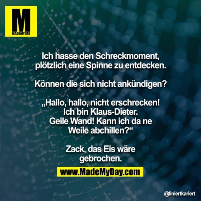 Ich hasse den Schreckmoment, plötzlich eine Spinne zu entdecken.
Können die sich nicht ankündigen?
„Hallo, hallo, nicht erschrecken! Ich bin Klaus-Dieter. Geile Wand! Kann ich da ne Weile abchillen?“
Zack, das Eis wäre gebrochen. - Inspiration, Zitate & Sprüche | MadeMyDay | Jetzt entdecken & teilen Ich hasse den Schreckmoment, plötzlich eine Spinne zu entdecken.
Können die sich nicht ankündigen?
„Hallo, hallo, nicht erschrecken! Ich bin Klaus-Dieter. Geile Wand! Kann ich da ne Weile abchillen?“
Zack, das Eis wäre gebrochen. - Inspirierendes Zitat mit Bild