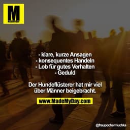 - klare, kurze Ansagen
- konsequentes Handeln
- Lob für gutes Verhalten
- Geduld
Der Hundeflüsterer hat mir viel über M
