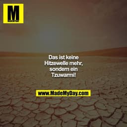 Das ist keine Hitzewelle mehr, sondern ein Tzuwarmi!