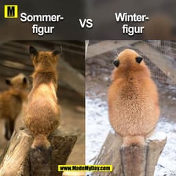 Sommer-
figur
vs.
Winter-
figur
